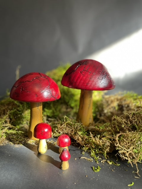 Mushrooms (Indoor/Outdoor)