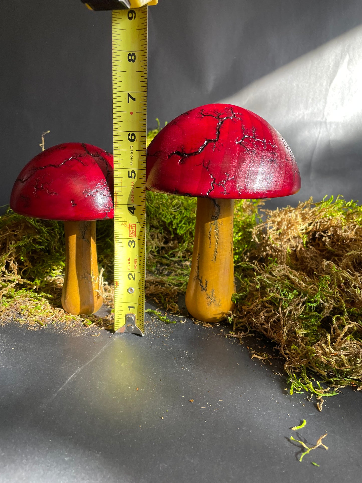 Mushrooms (Indoor/Outdoor)