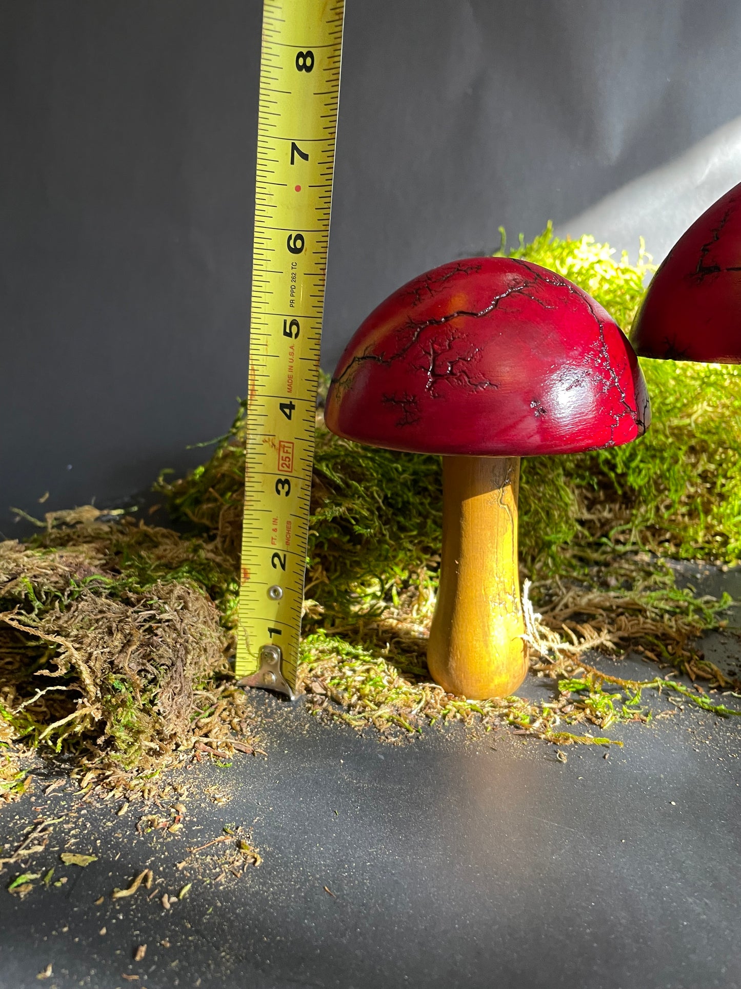 Mushrooms (Indoor/Outdoor)