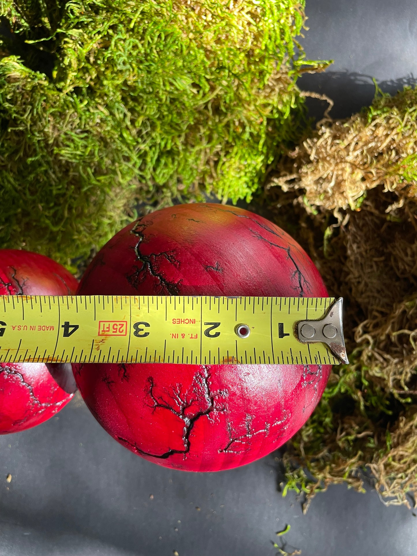 Mushrooms (Indoor/Outdoor)