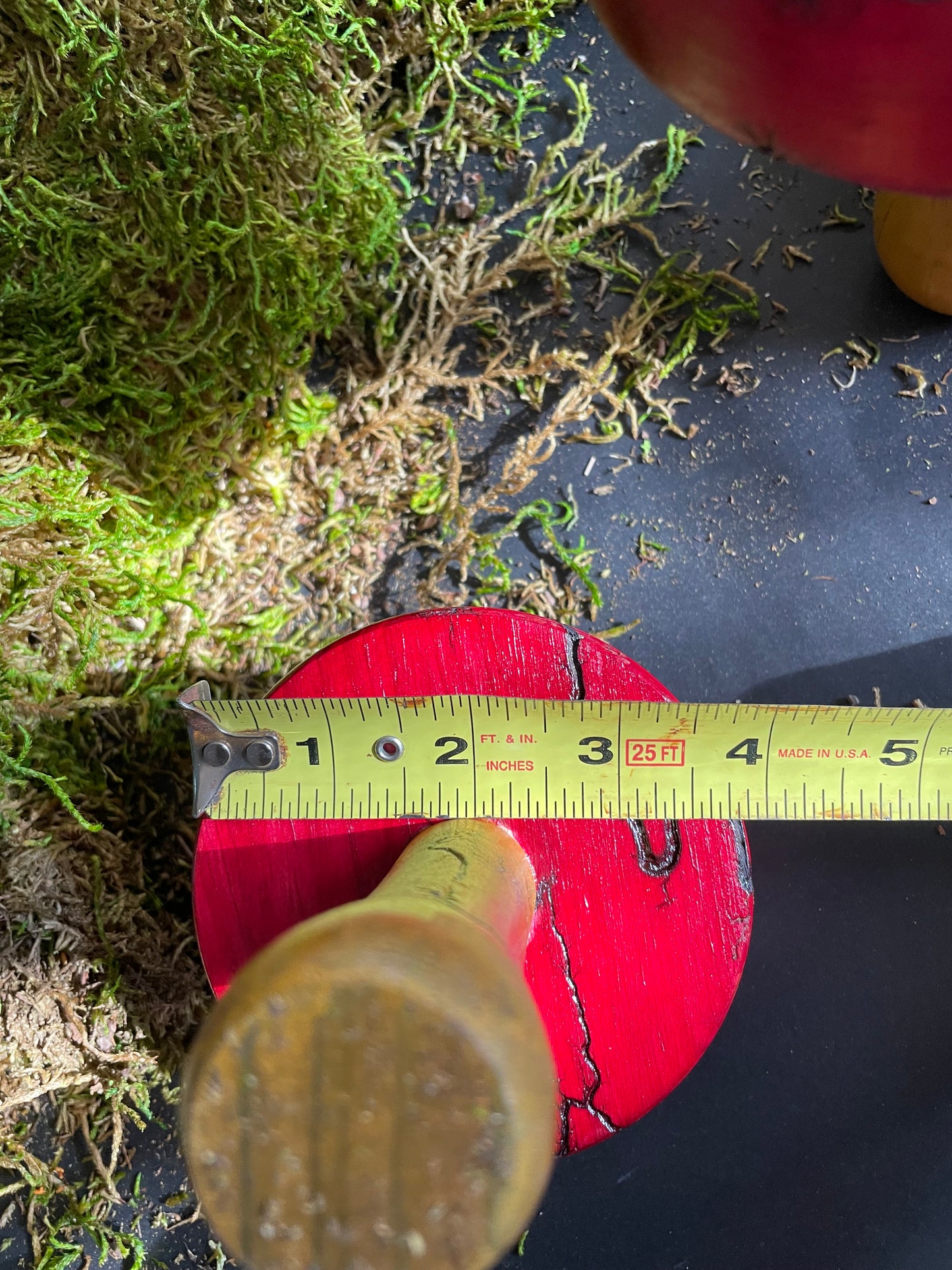 Mushrooms (Indoor/Outdoor)