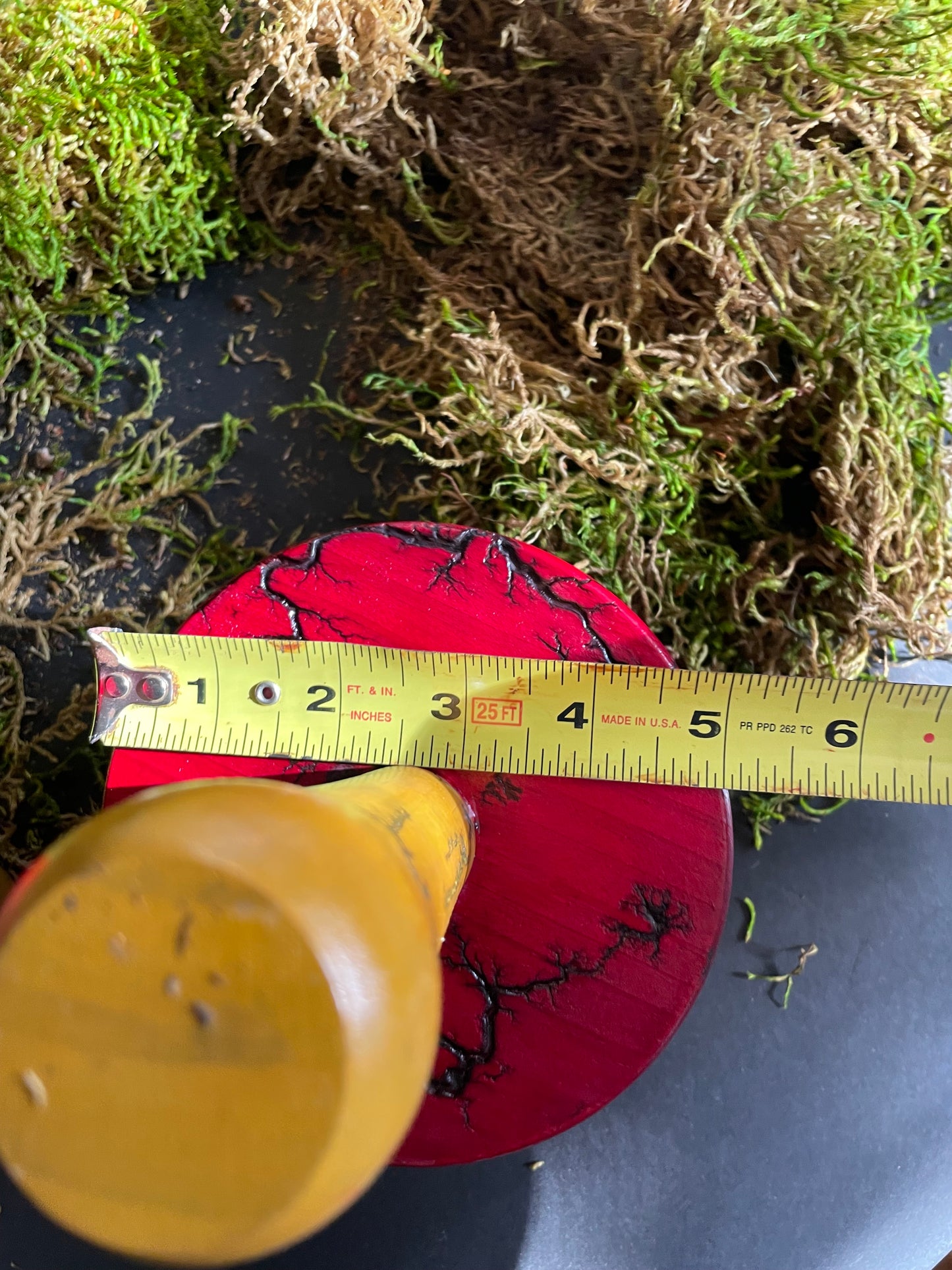 Mushrooms (Indoor/Outdoor)