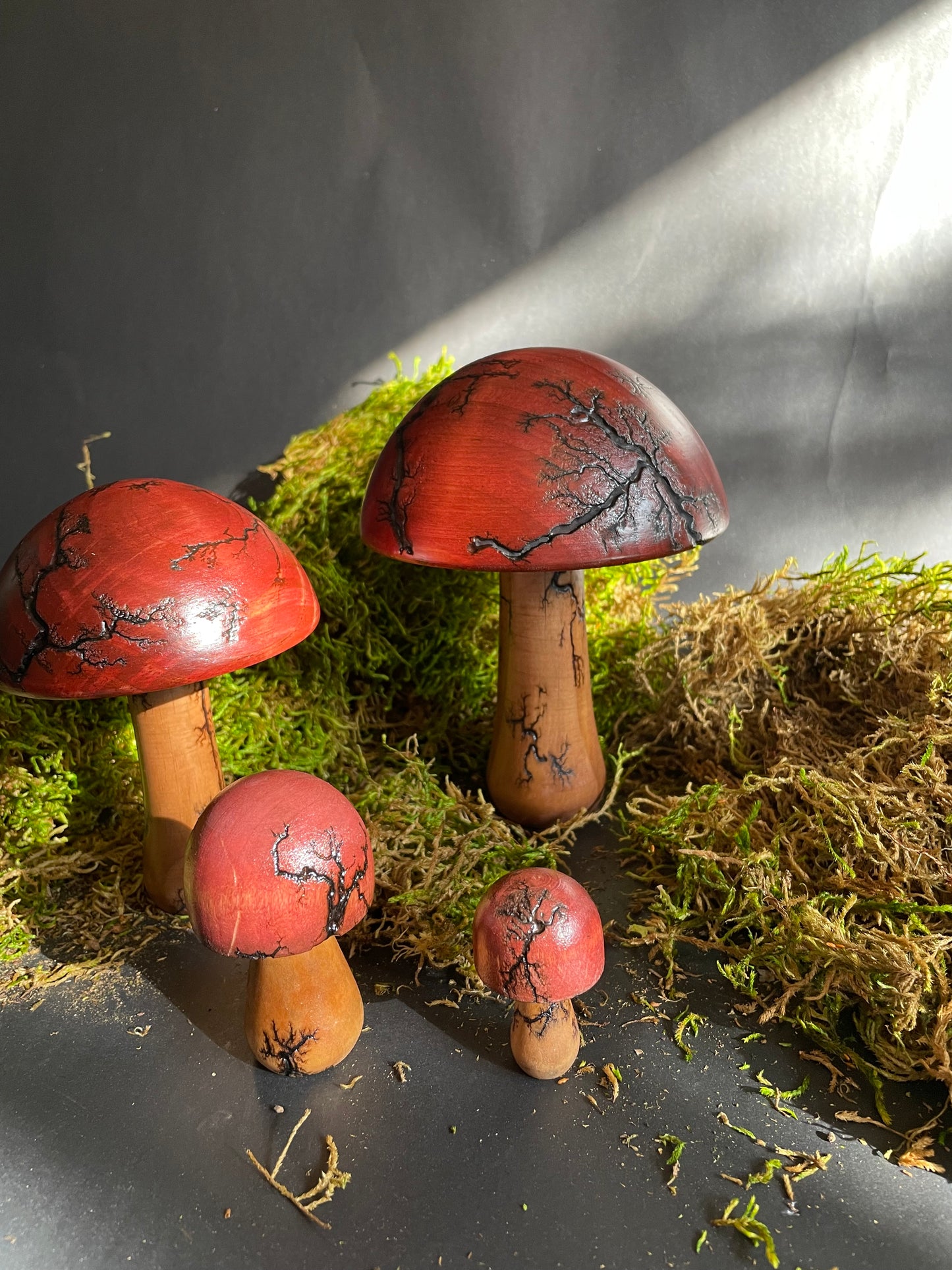 Mushrooms (Indoor/Outdoor)