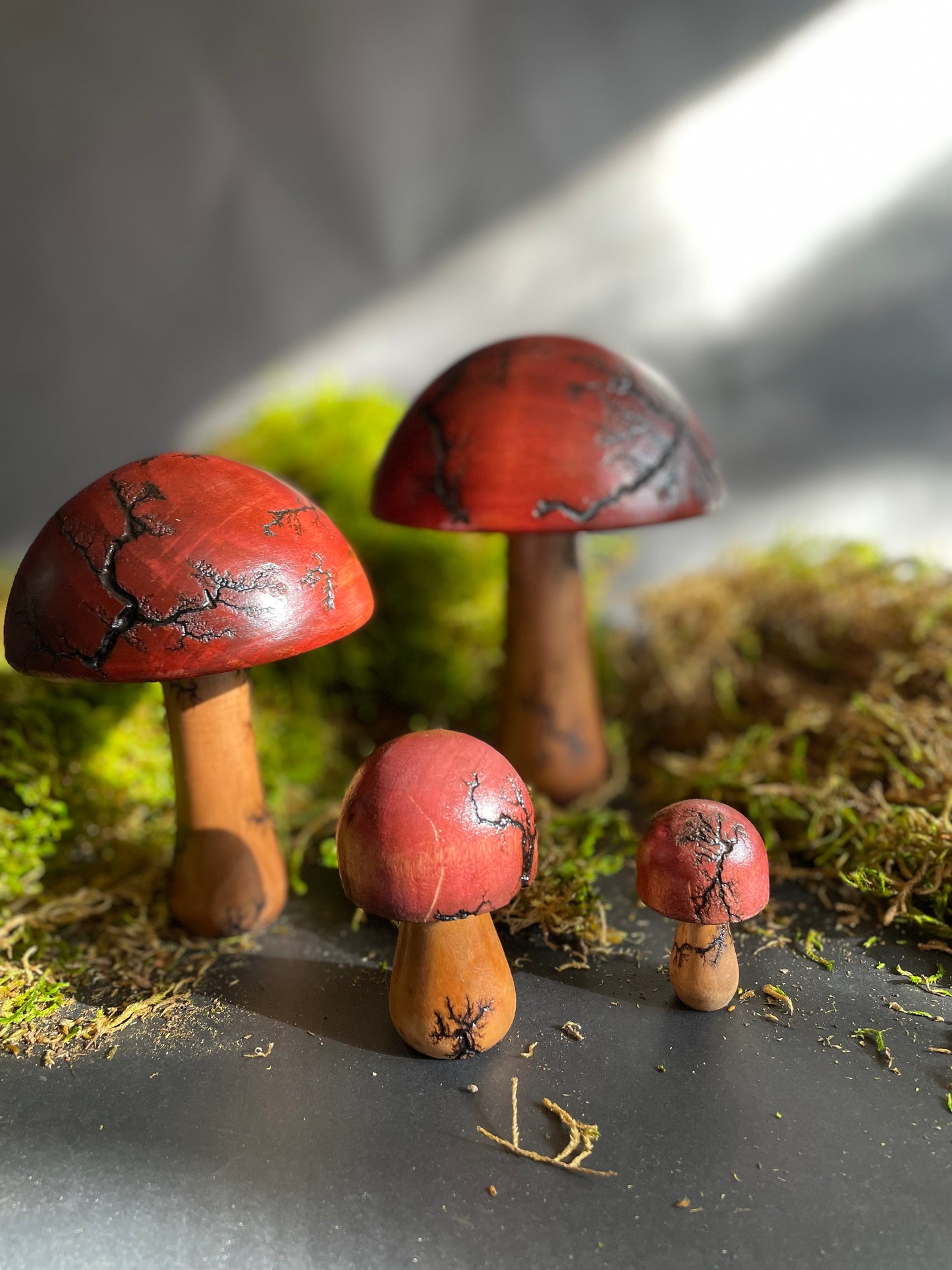Mushrooms (Indoor/Outdoor)