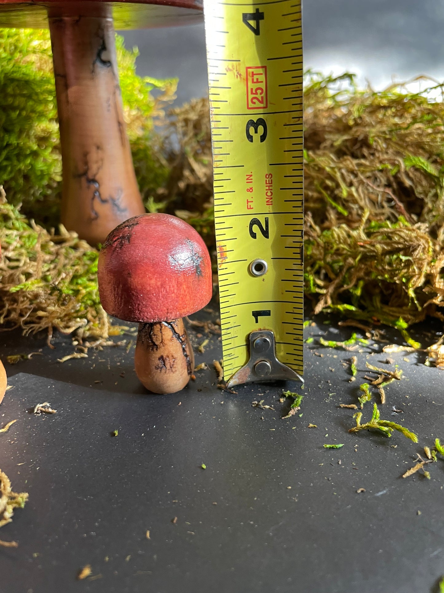 Mushrooms (Indoor/Outdoor)
