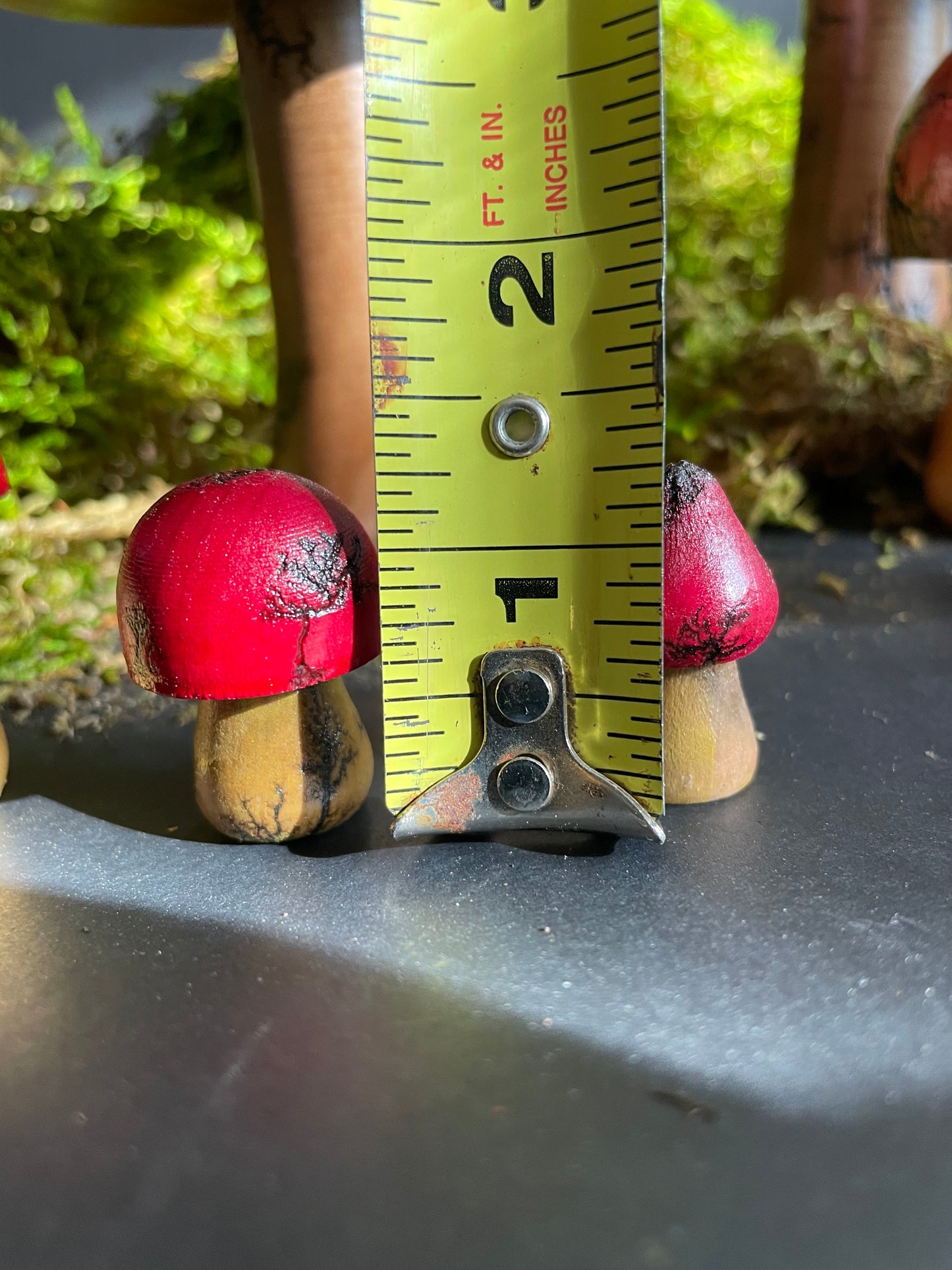 Mushrooms (Indoor/Outdoor)