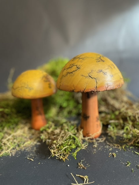 Mushrooms (Indoor/Outdoor)