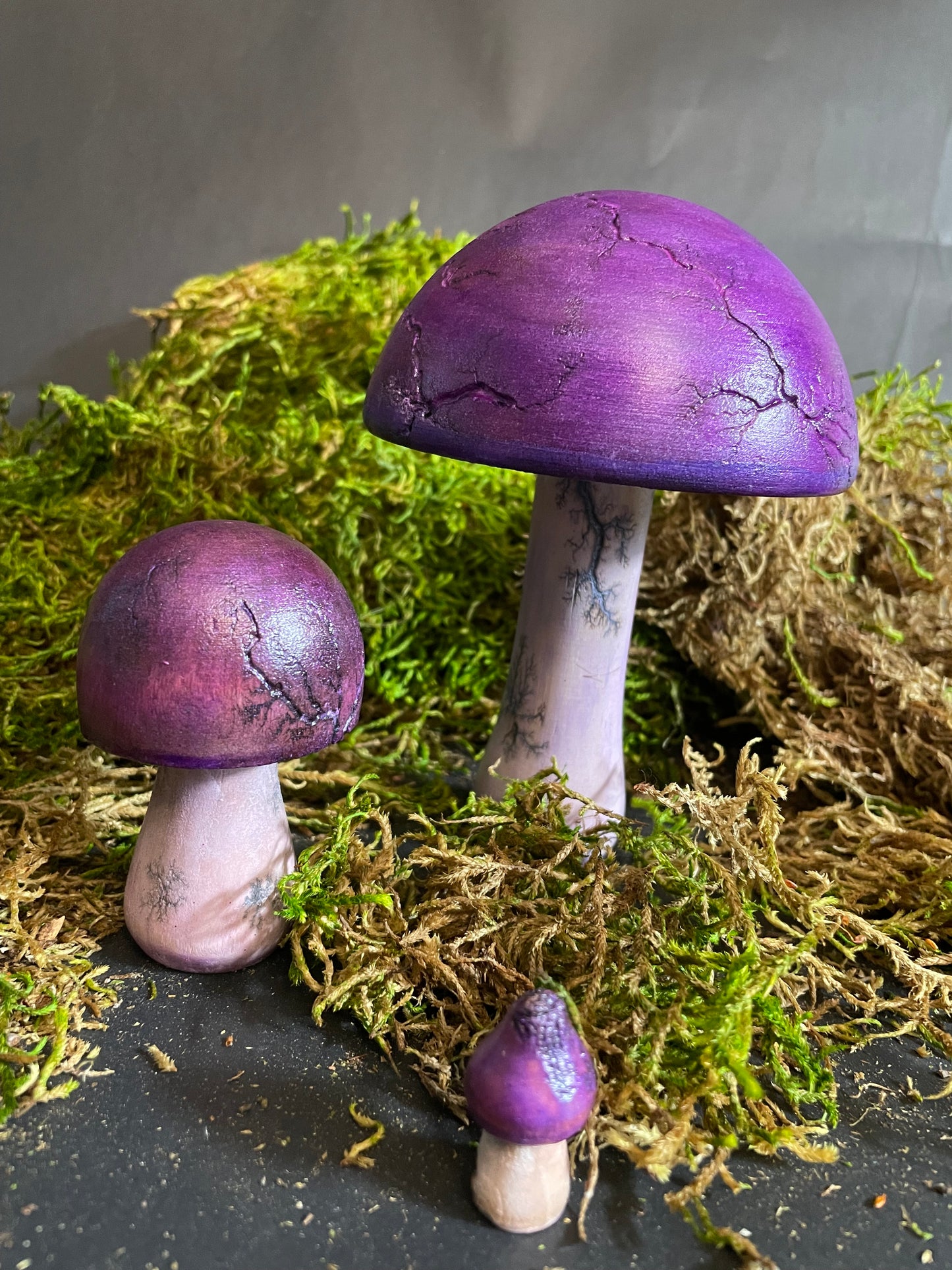 Mushrooms (Indoor/Outdoor)