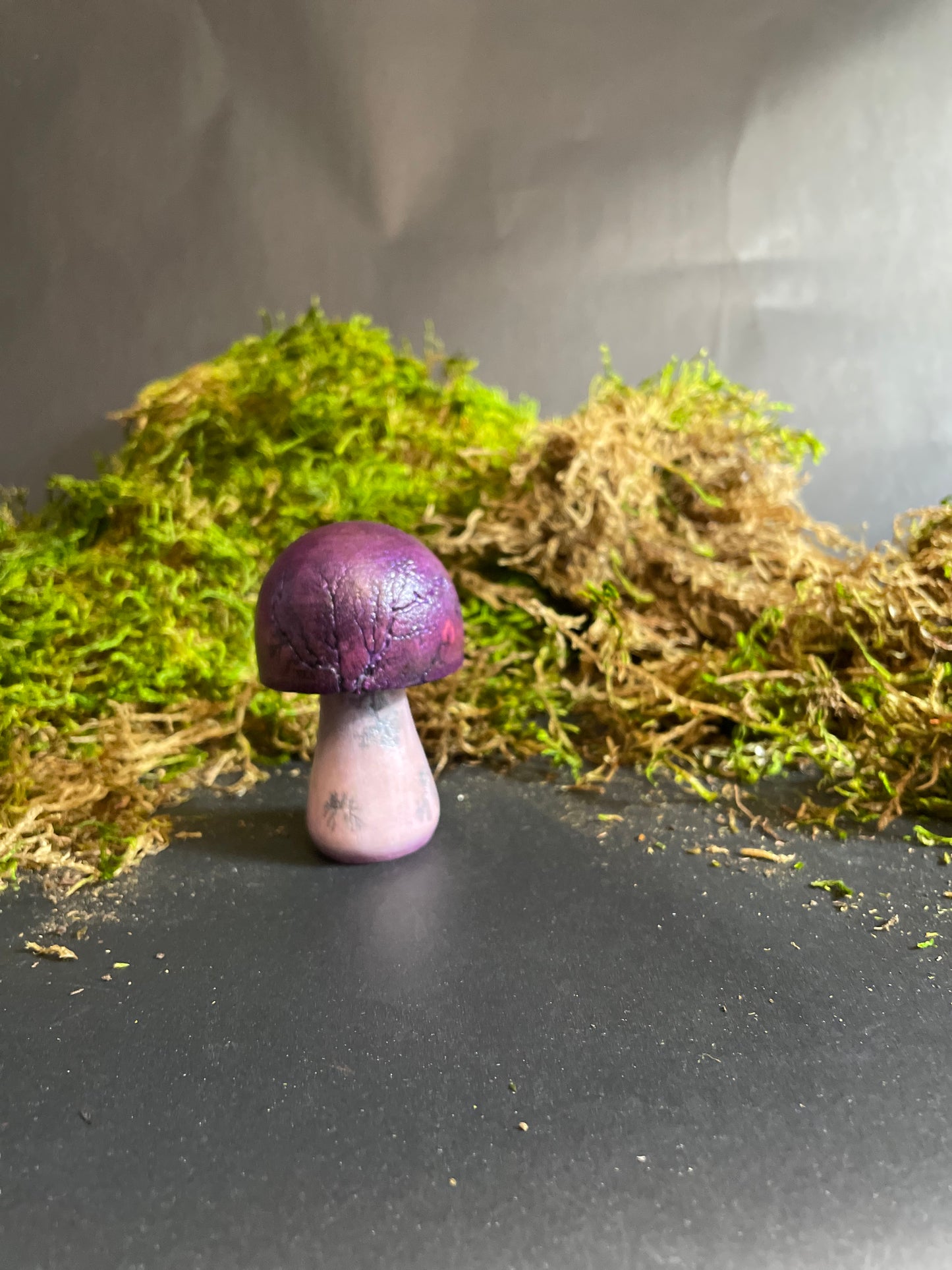 Mushrooms (Indoor/Outdoor)