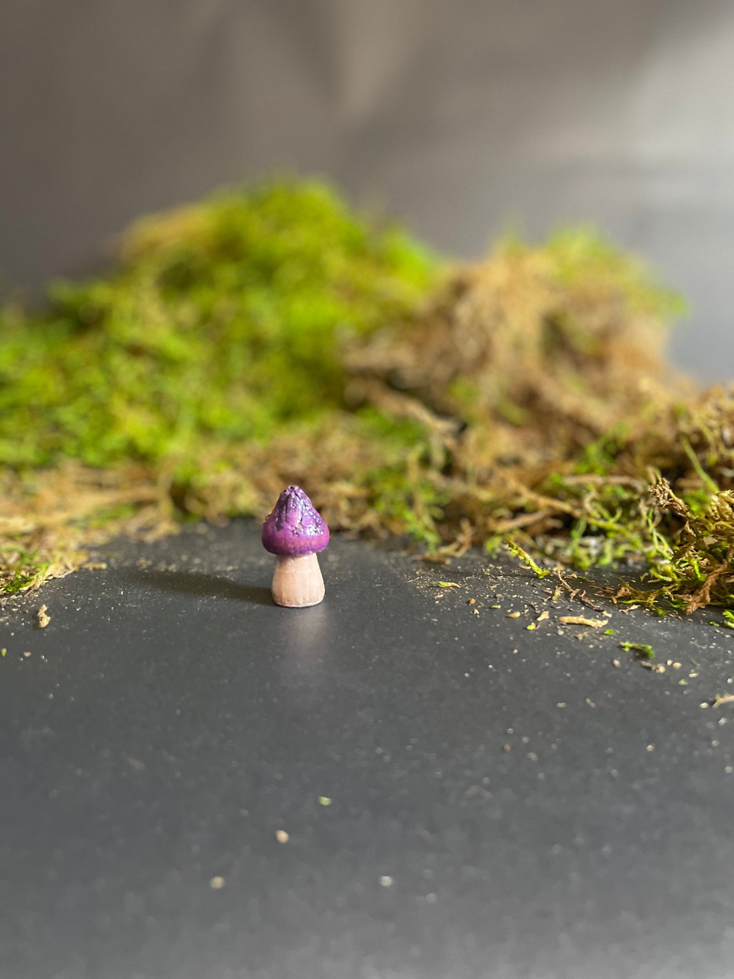 Mushrooms (Indoor/Outdoor)