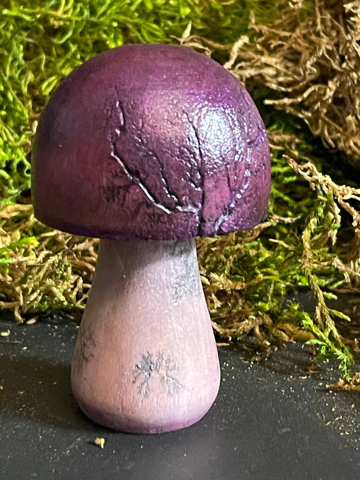 Mushrooms (Indoor/Outdoor)