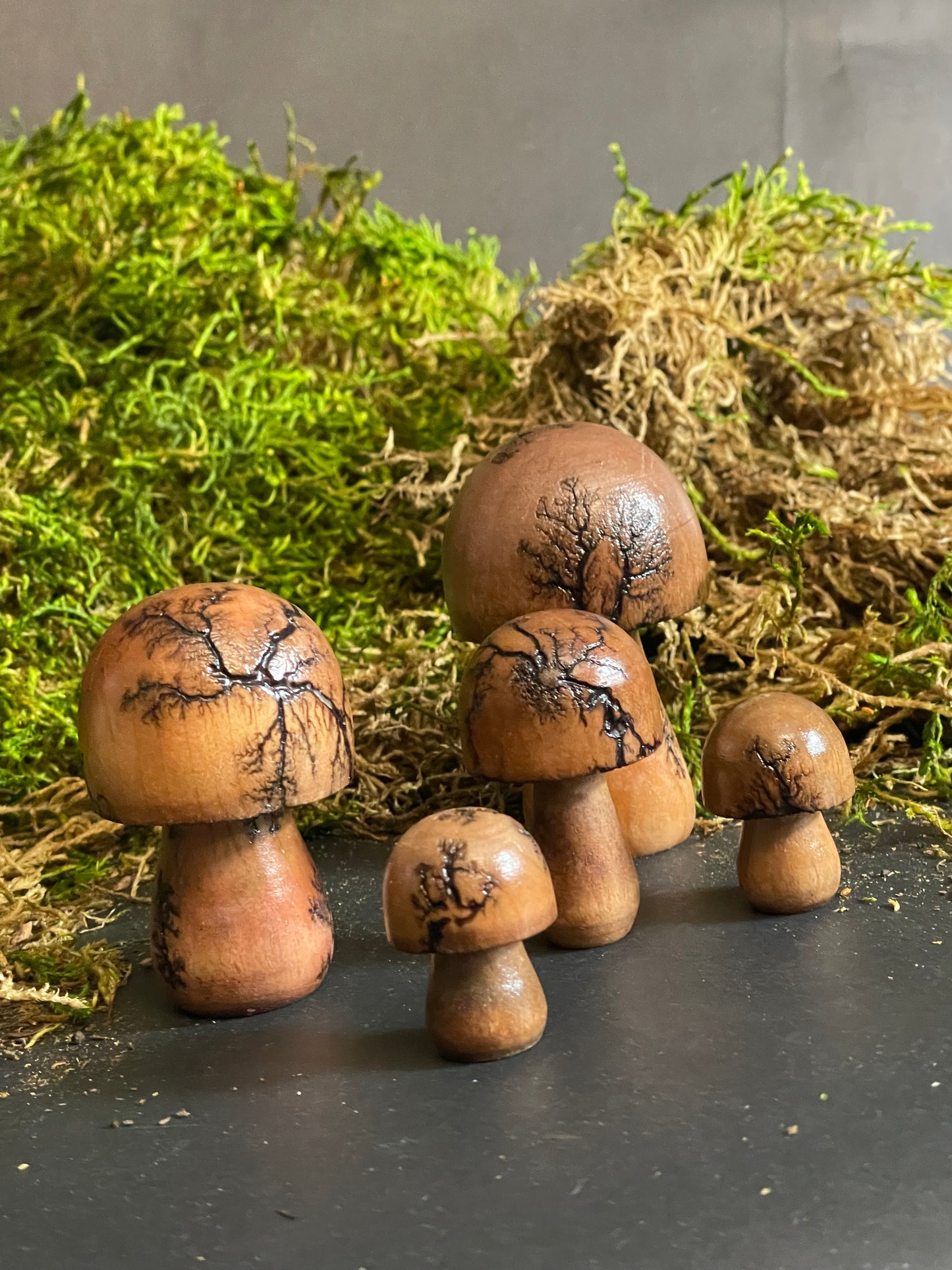 Mushrooms (Indoor/Outdoor)