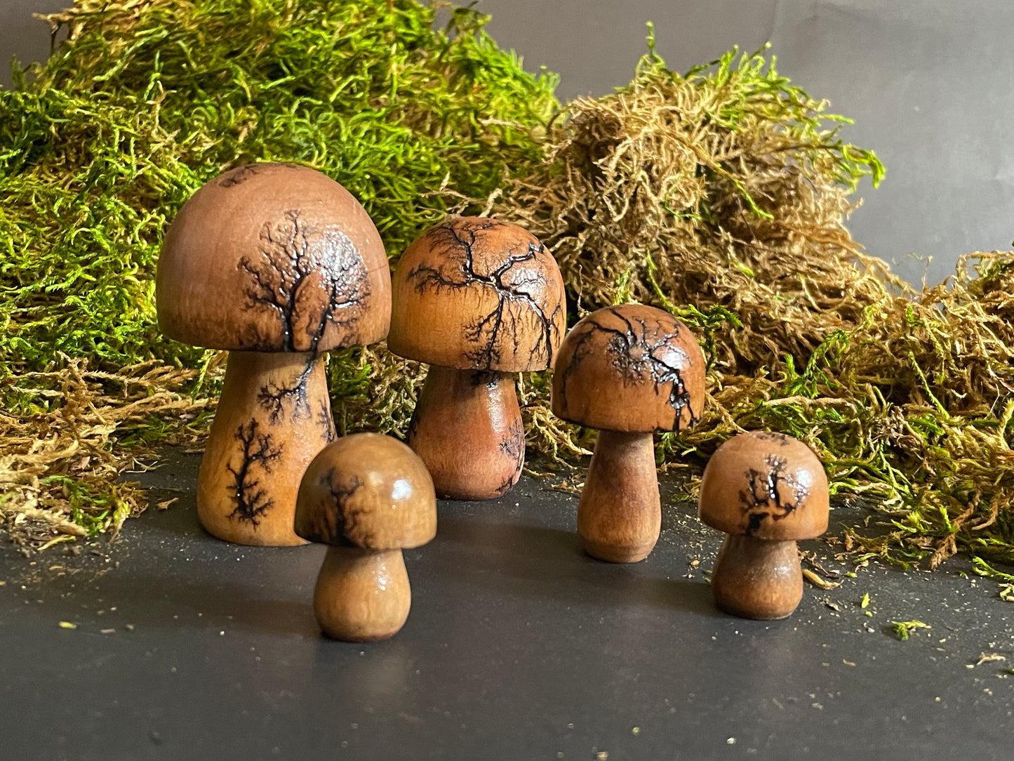 Mushrooms (Indoor/Outdoor)