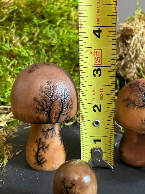 Mushrooms (Indoor/Outdoor)