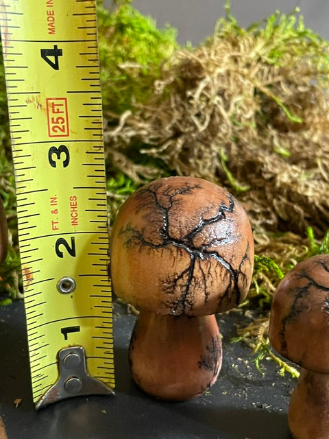 Mushrooms (Indoor/Outdoor)