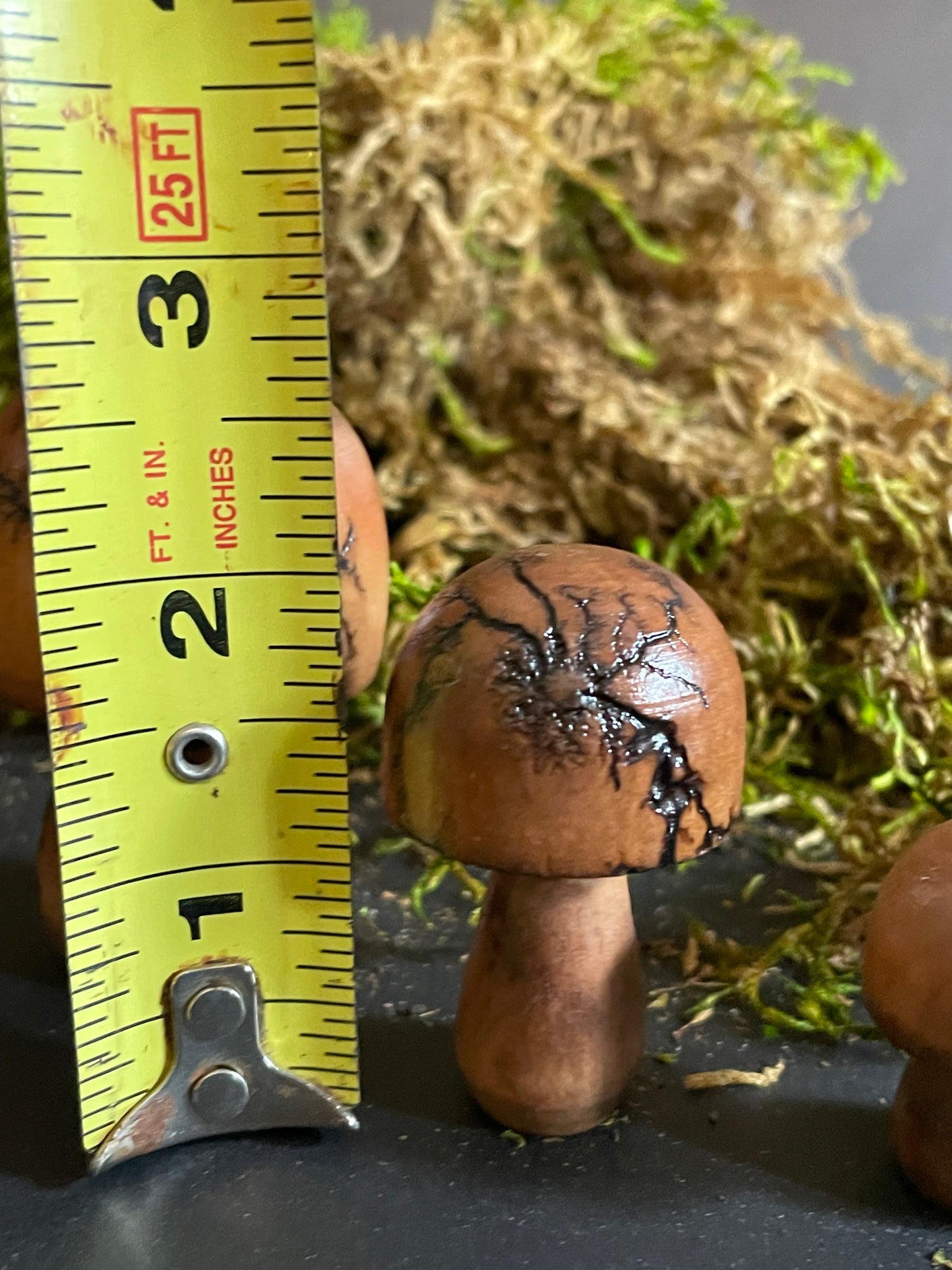 Mushrooms (Indoor/Outdoor)