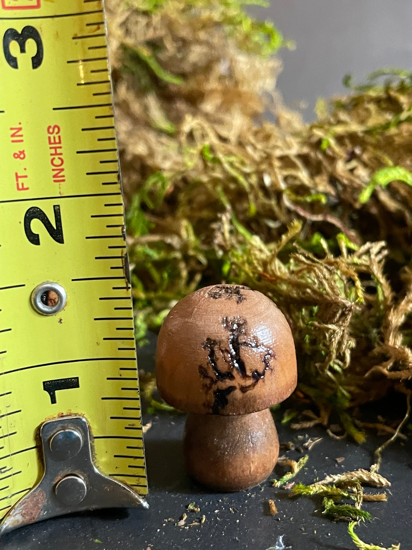 Mushrooms (Indoor/Outdoor)