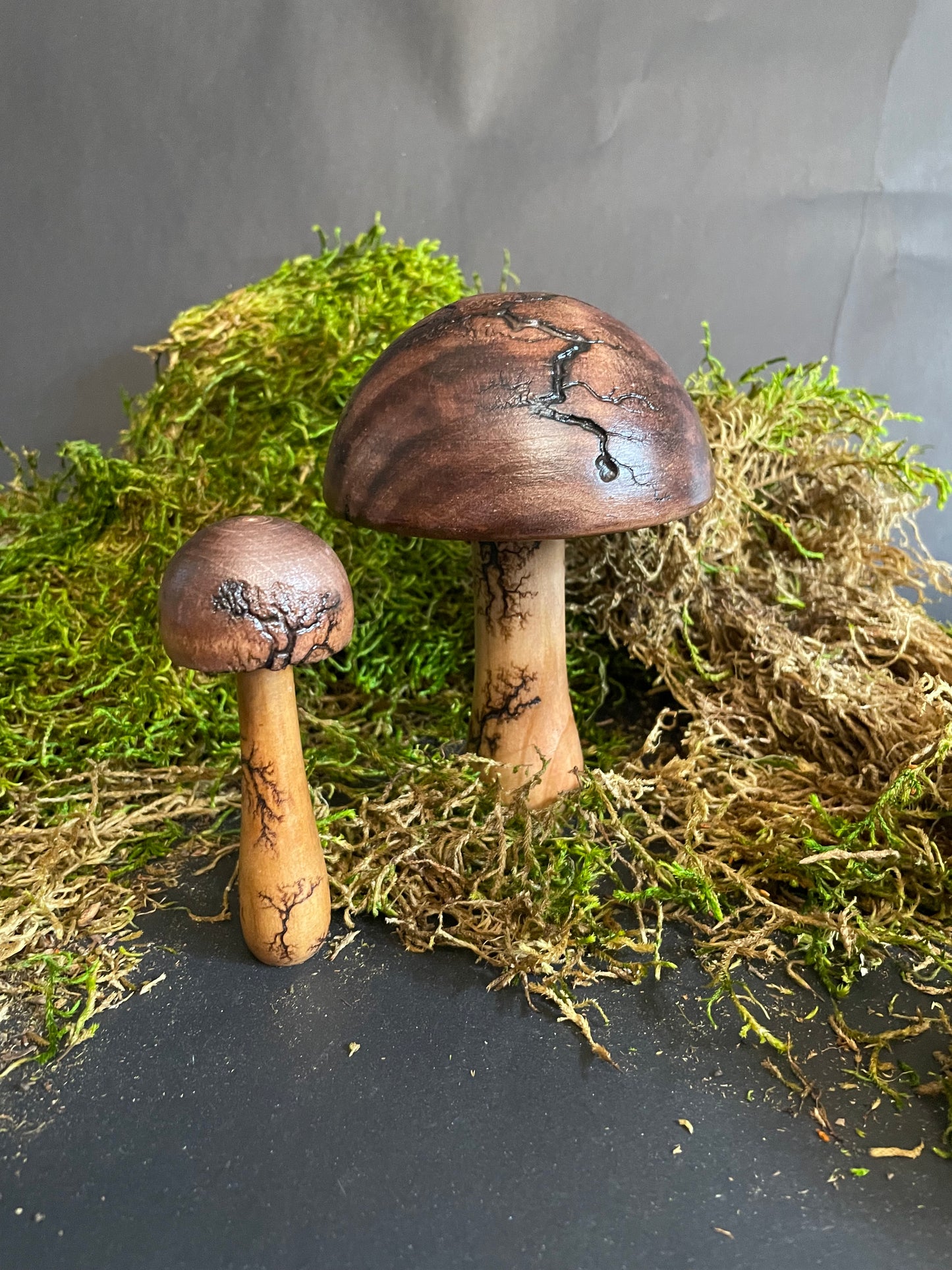 Mushrooms (Indoor/Outdoor)