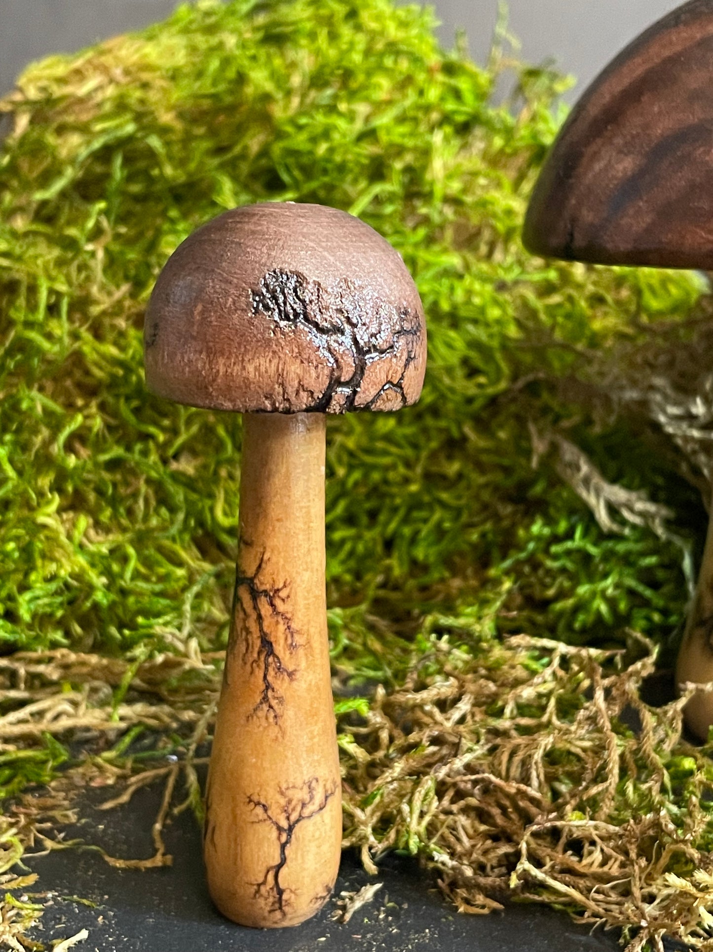 Mushrooms (Indoor/Outdoor)