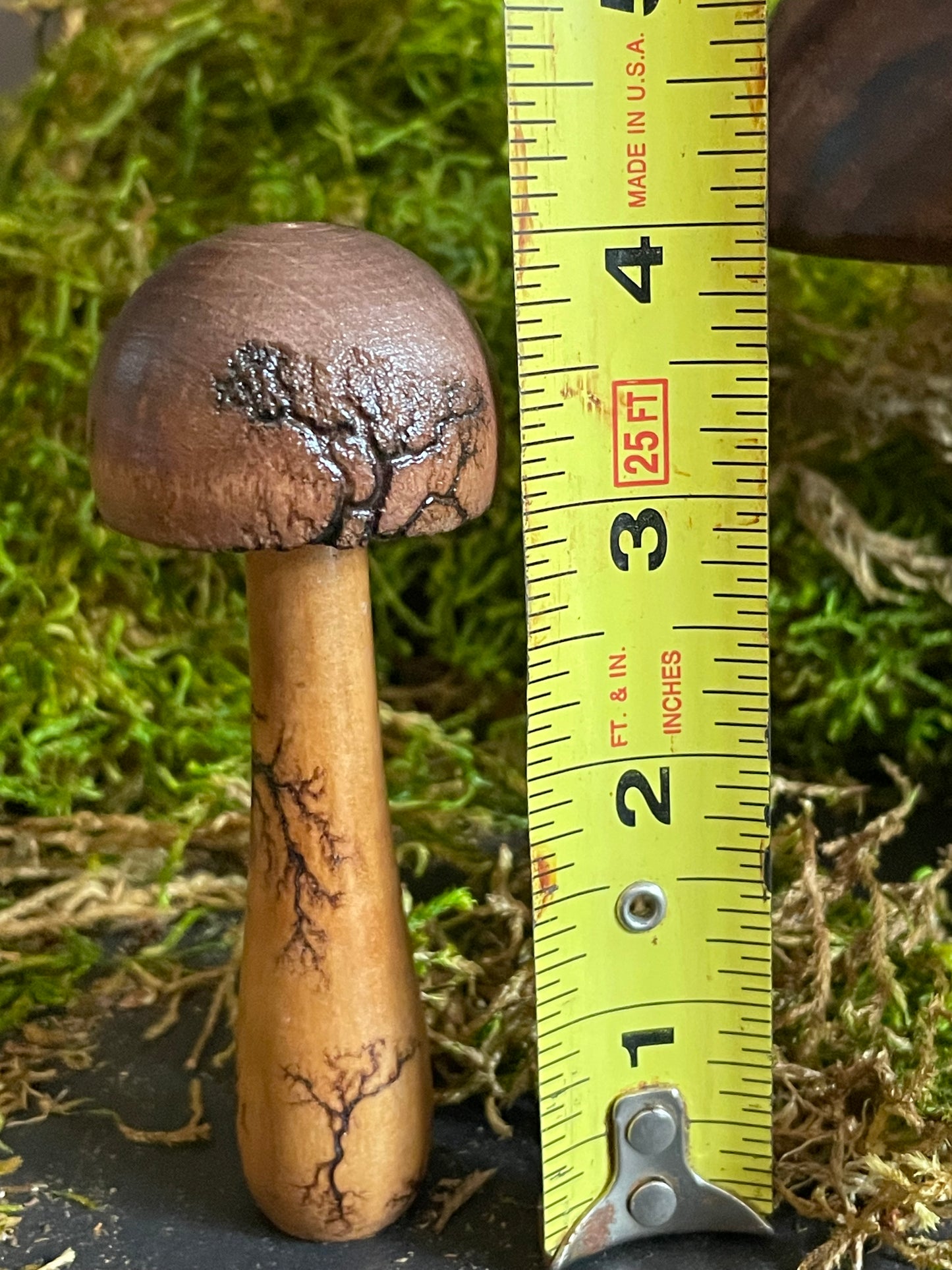 Mushrooms (Indoor/Outdoor)