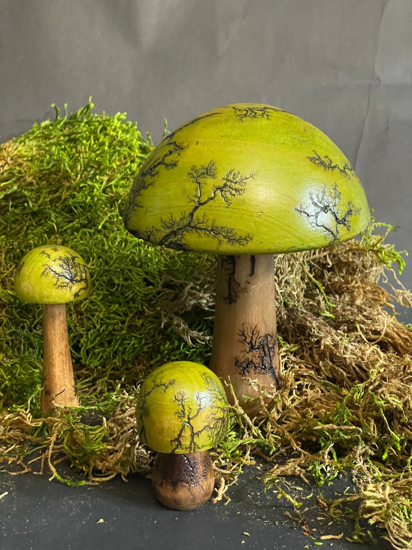 Mushrooms (Indoor/Outdoor)