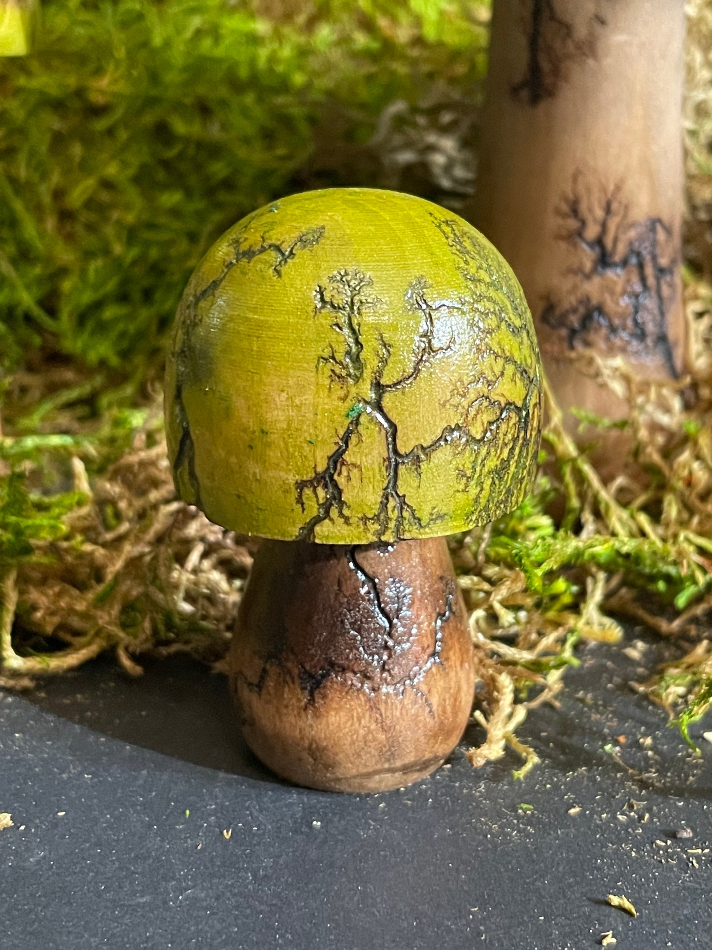 Mushrooms (Indoor/Outdoor)