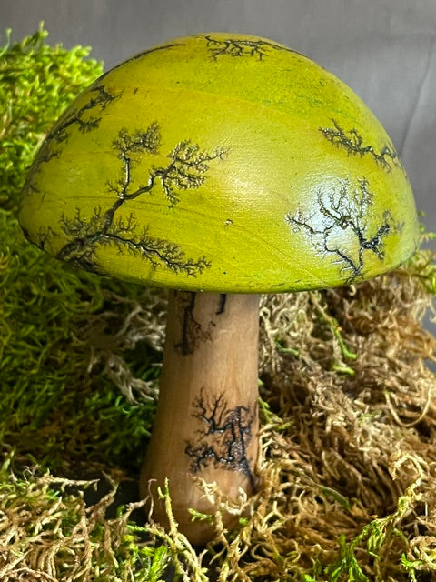 Mushrooms (Indoor/Outdoor)