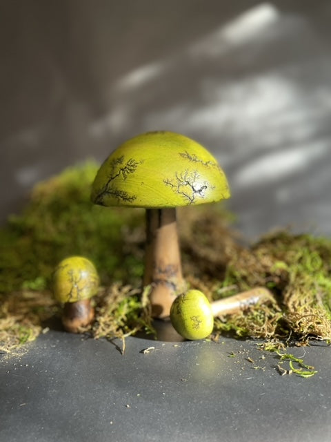 Mushrooms (Indoor/Outdoor)