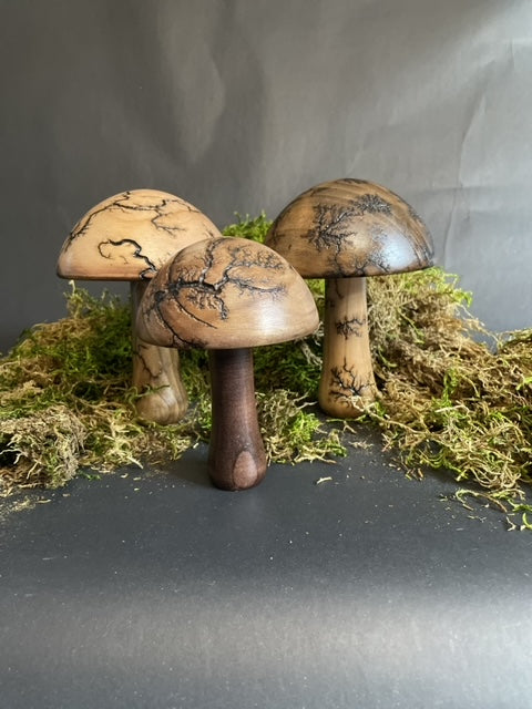 Mushrooms (Indoor/Outdoor)