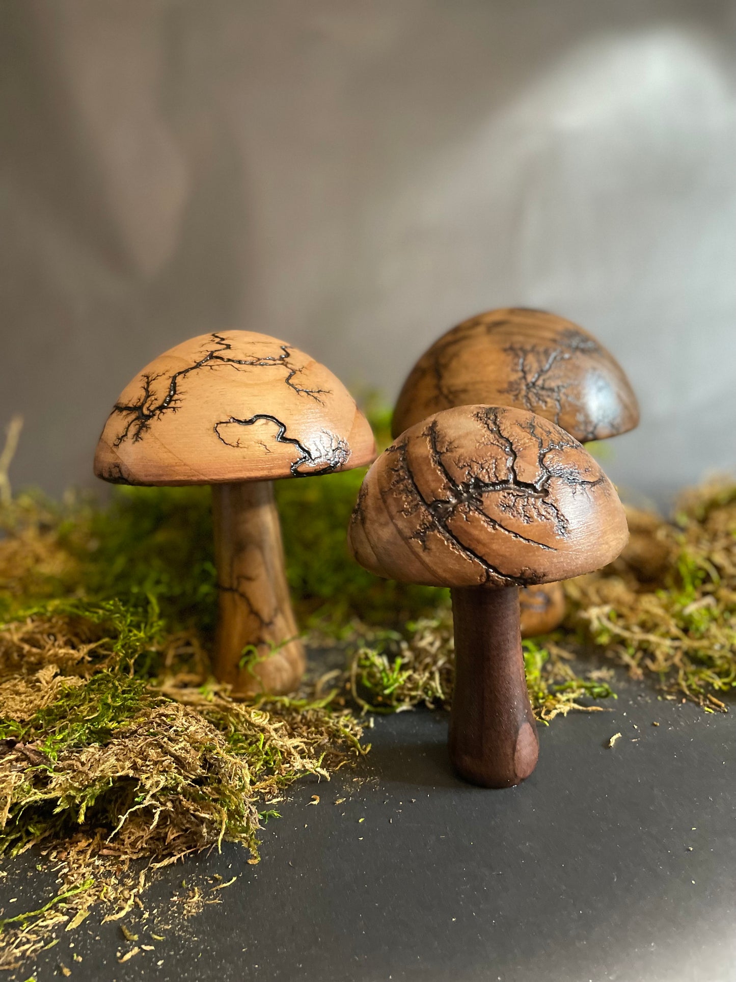 Mushrooms (Indoor/Outdoor)