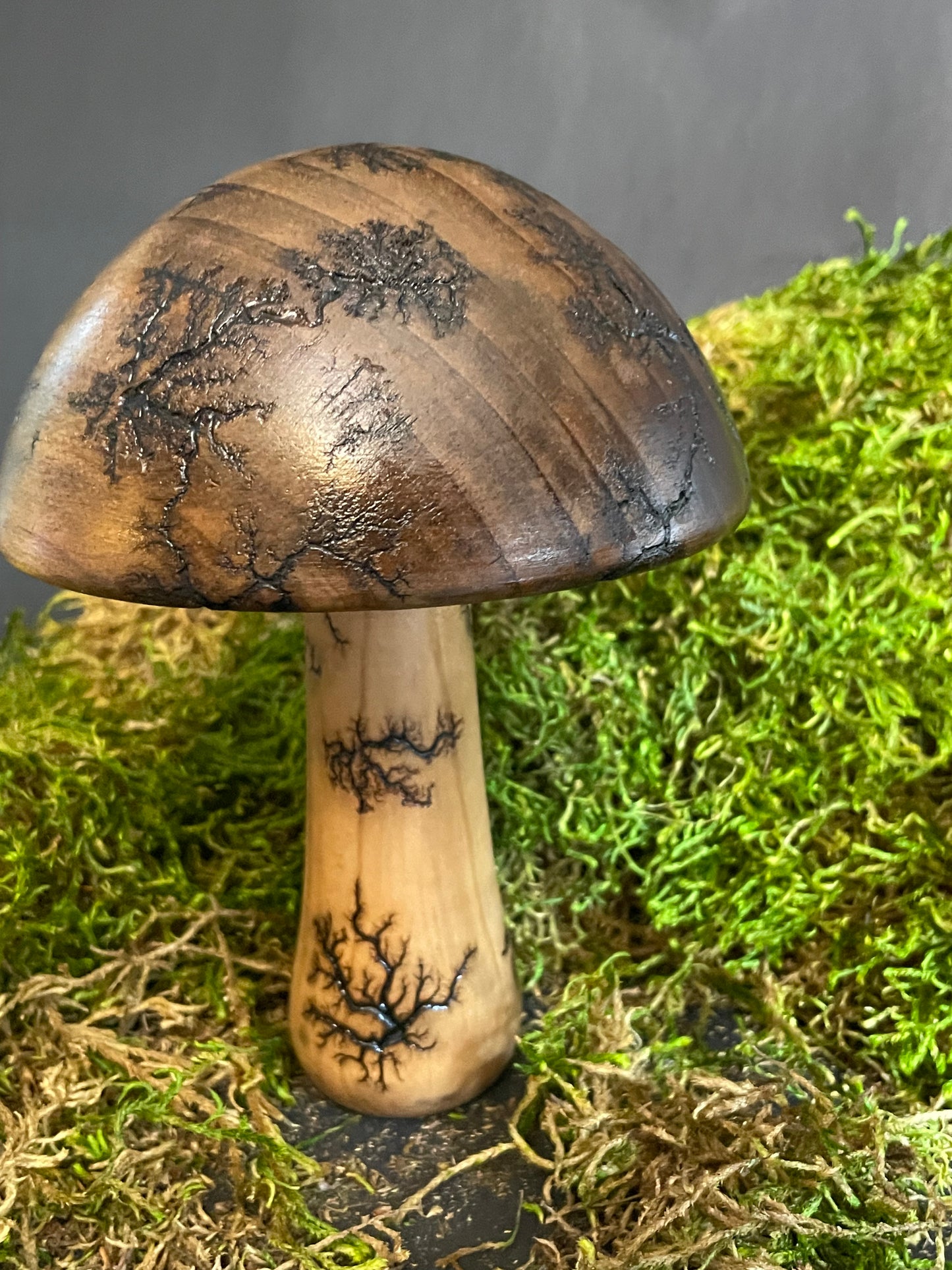 Mushrooms (Indoor/Outdoor)