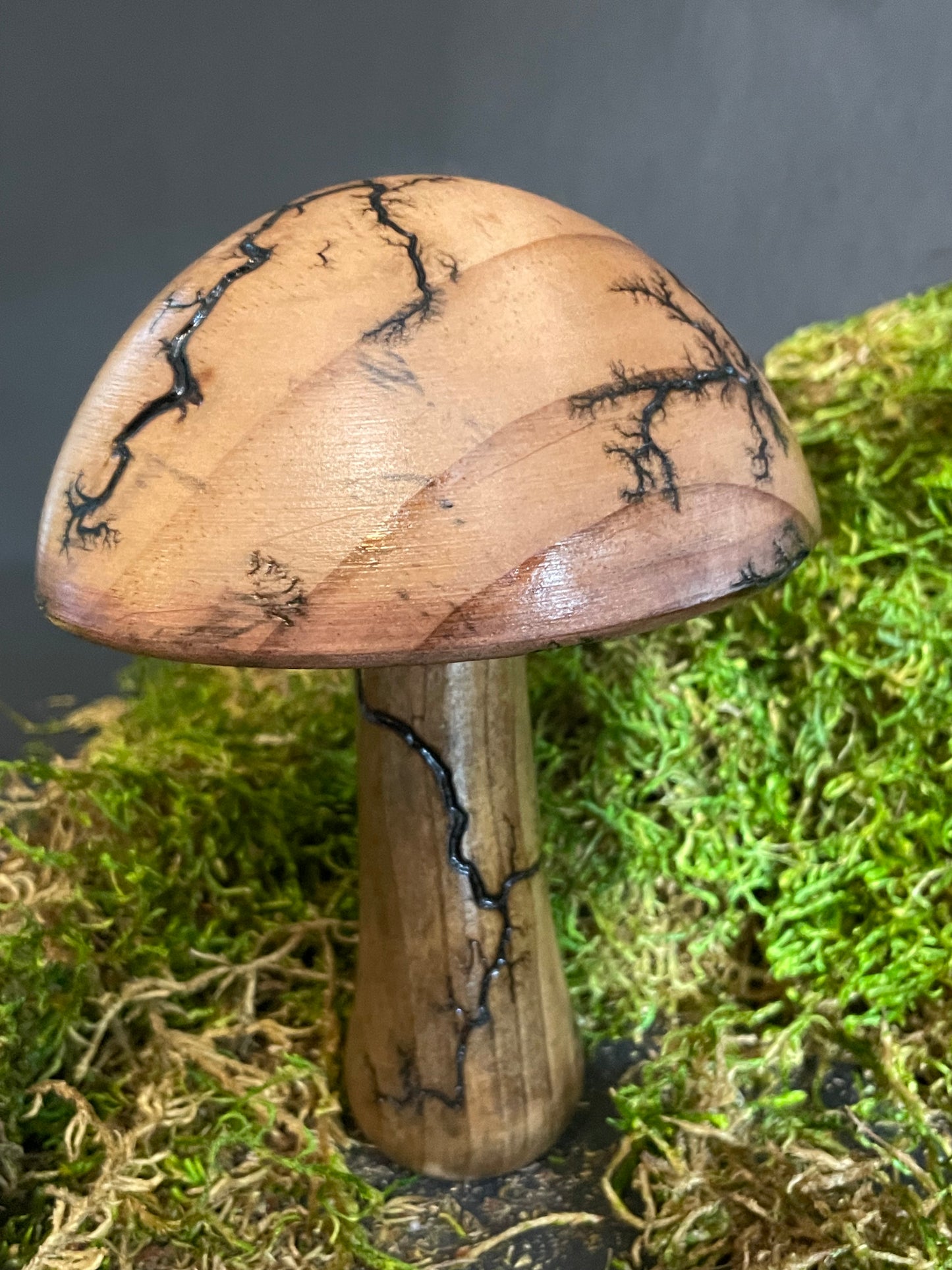 Mushrooms (Indoor/Outdoor)