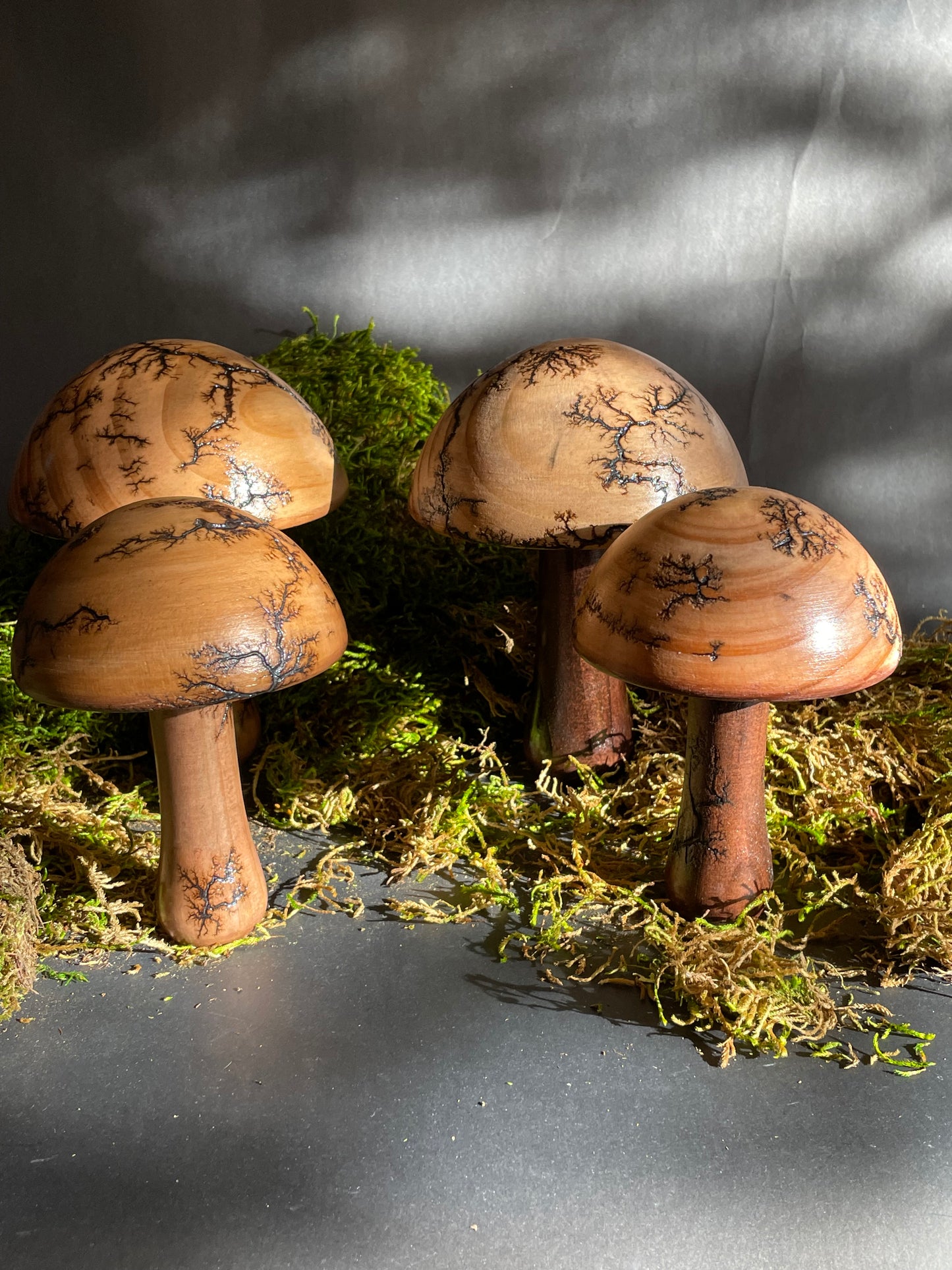 Mushrooms (Indoor/Outdoor)