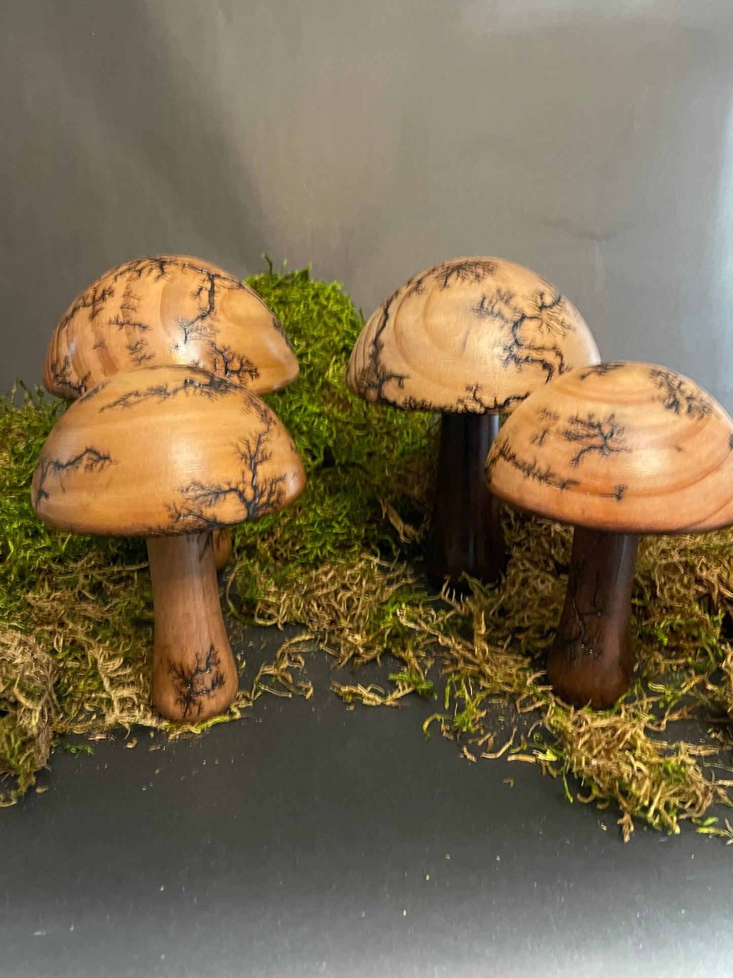 Mushrooms (Indoor/Outdoor)