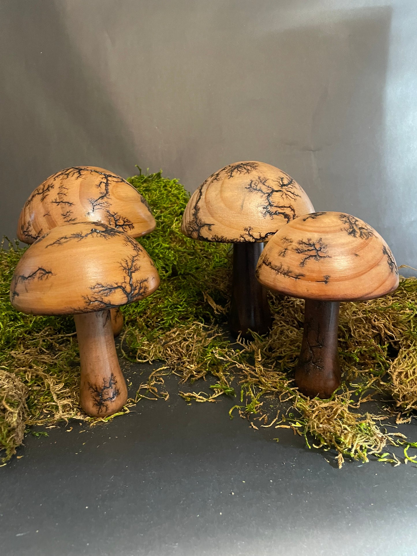 Mushrooms (Indoor/Outdoor)