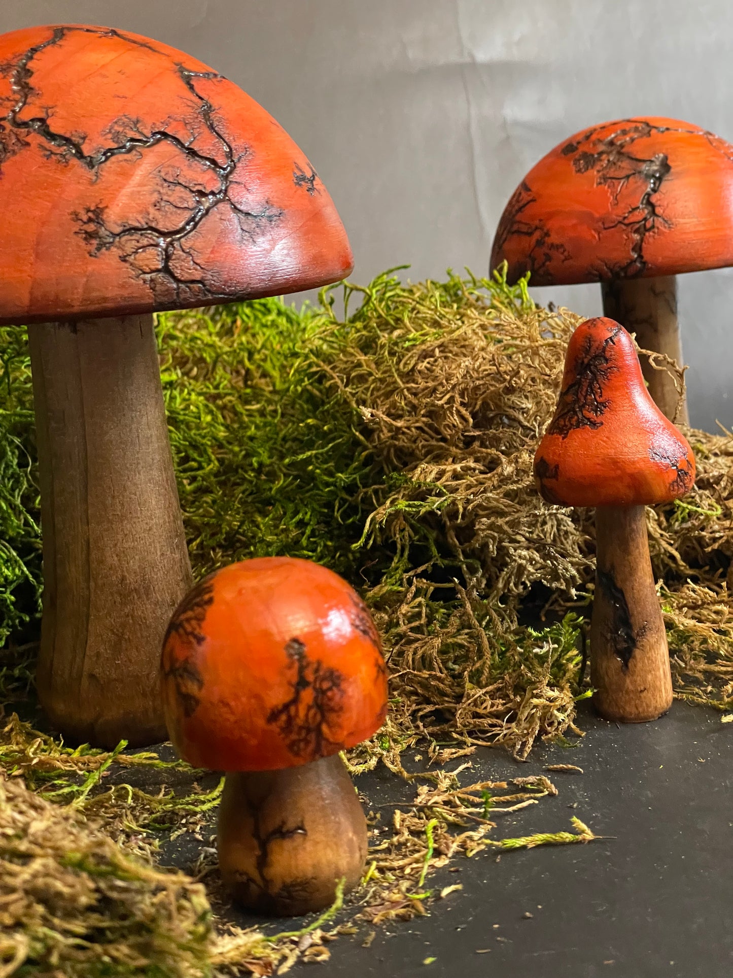 Mushrooms (Indoor/Outdoor)