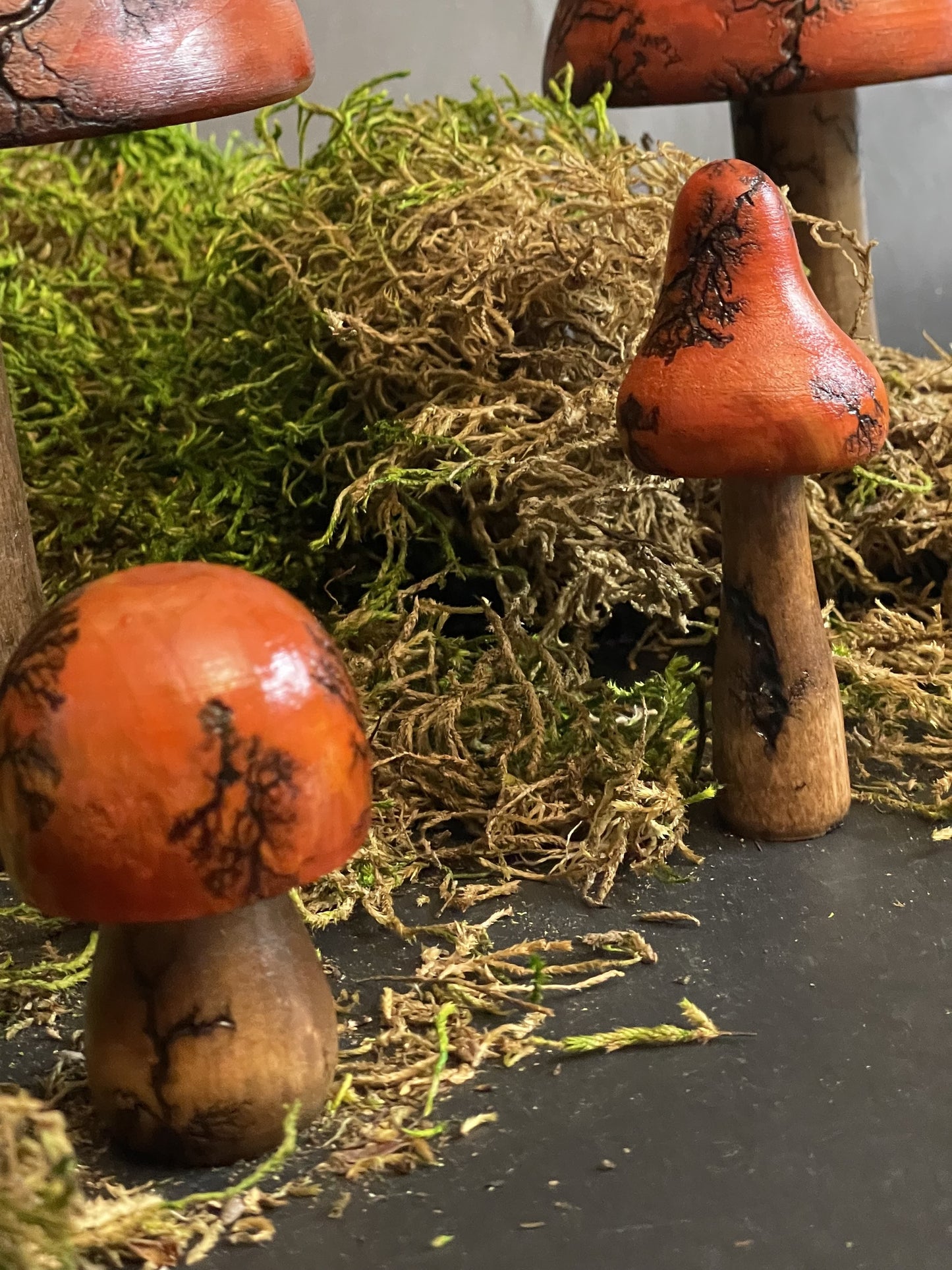Mushrooms (Indoor/Outdoor)