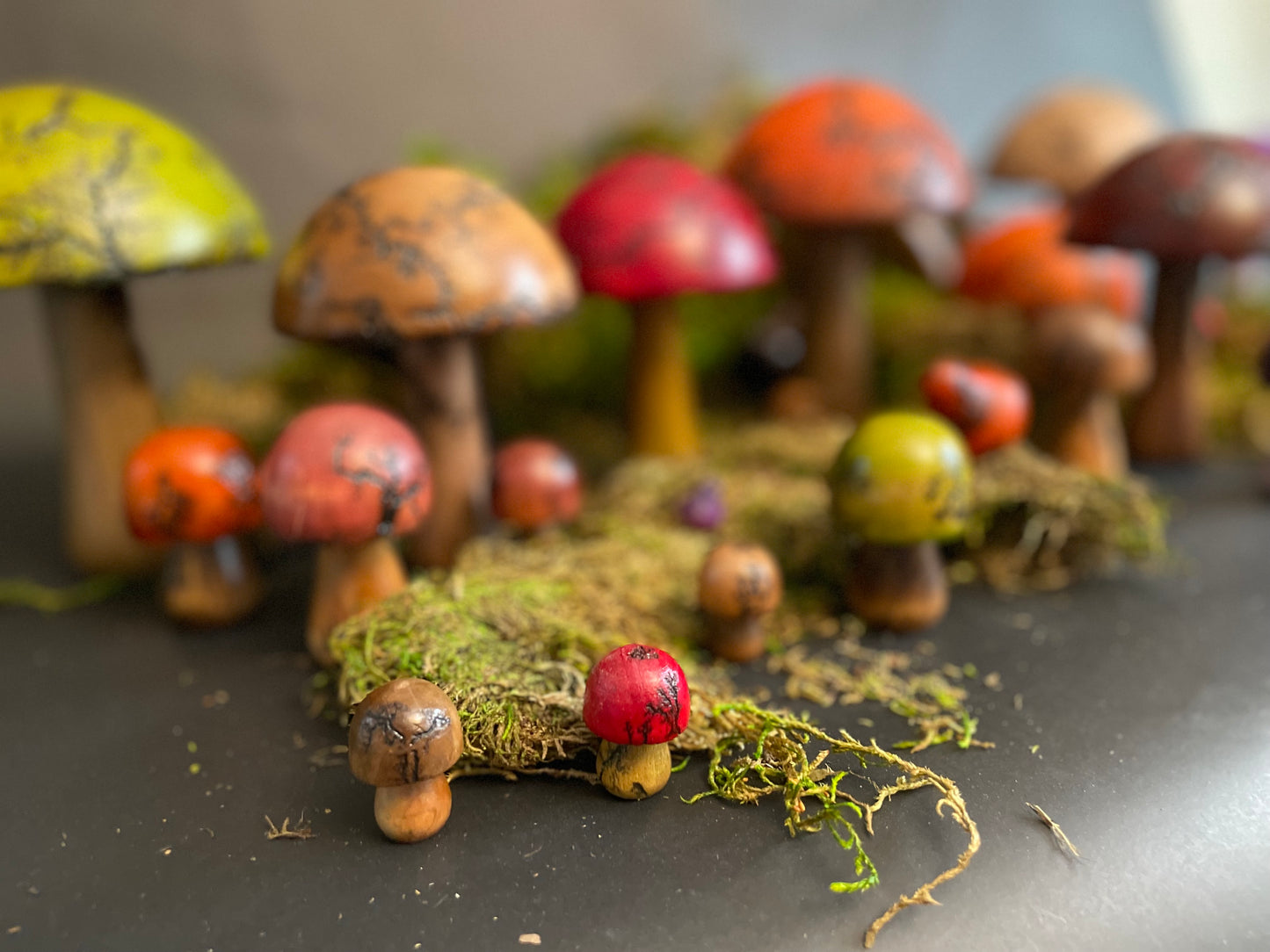 Mushrooms (Indoor/Outdoor)