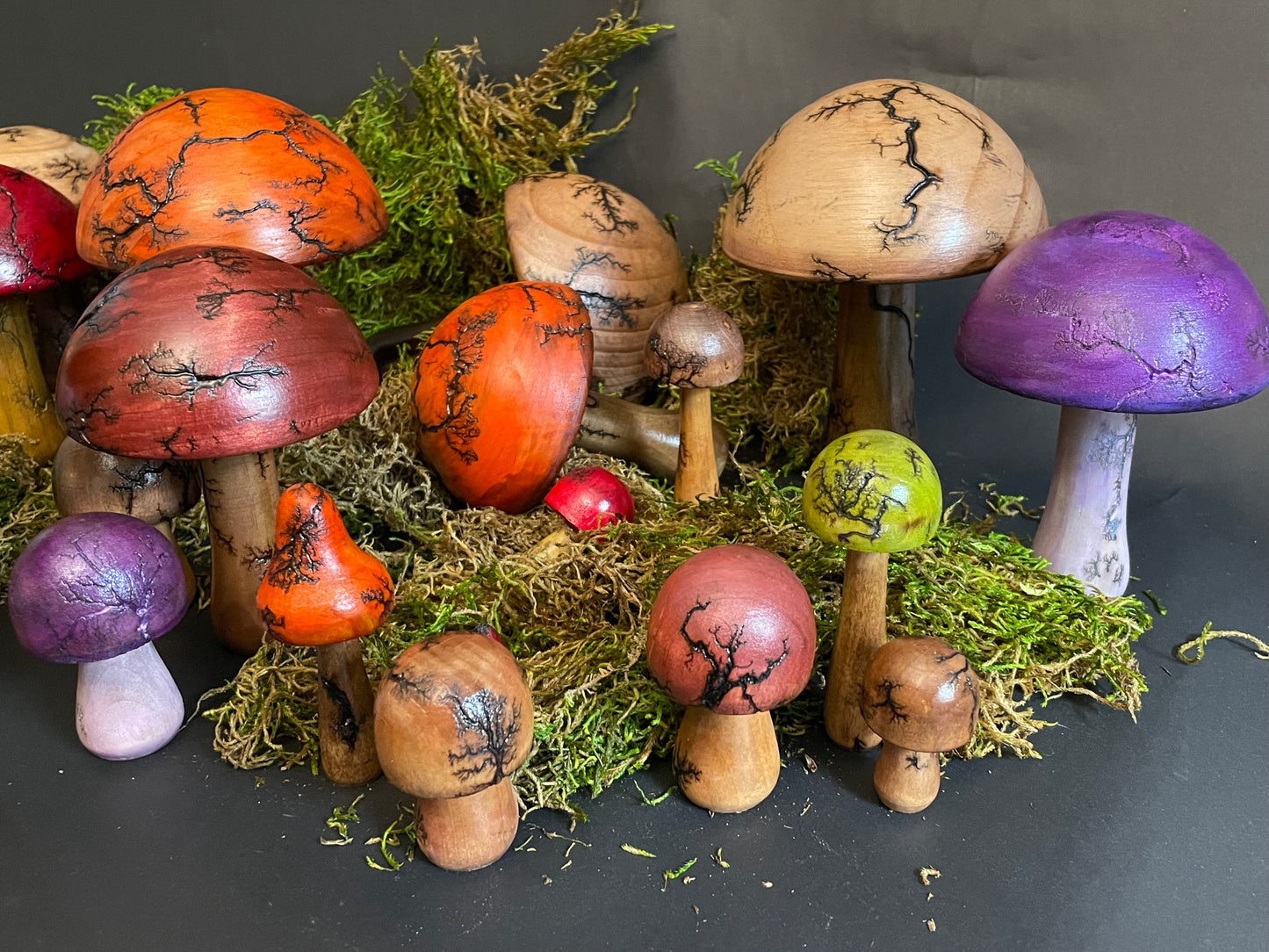 Mushrooms (Indoor/Outdoor)