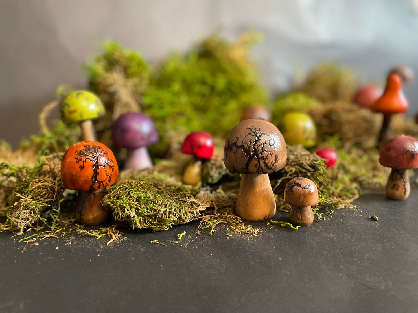 Mushrooms (Indoor/Outdoor)