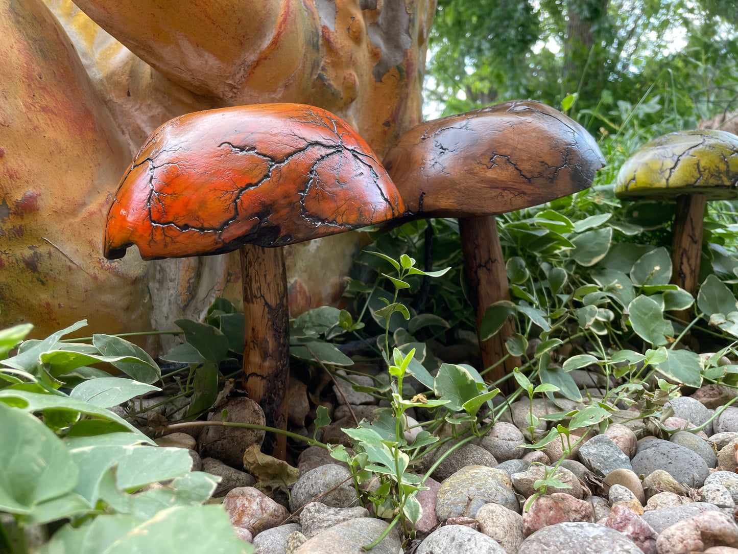 Teak Mushroom
