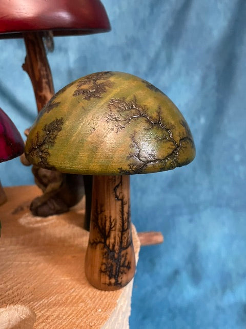 Teak Mushroom