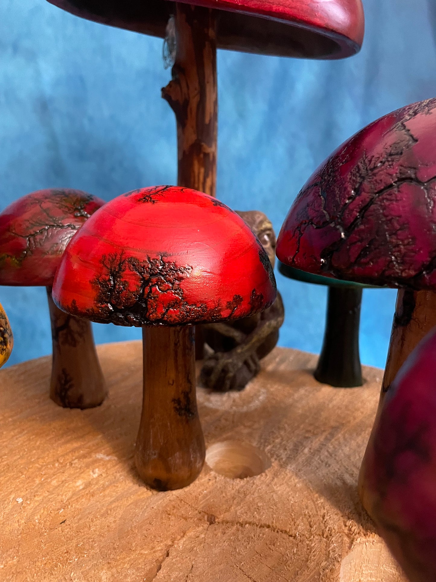 Teak Mushroom