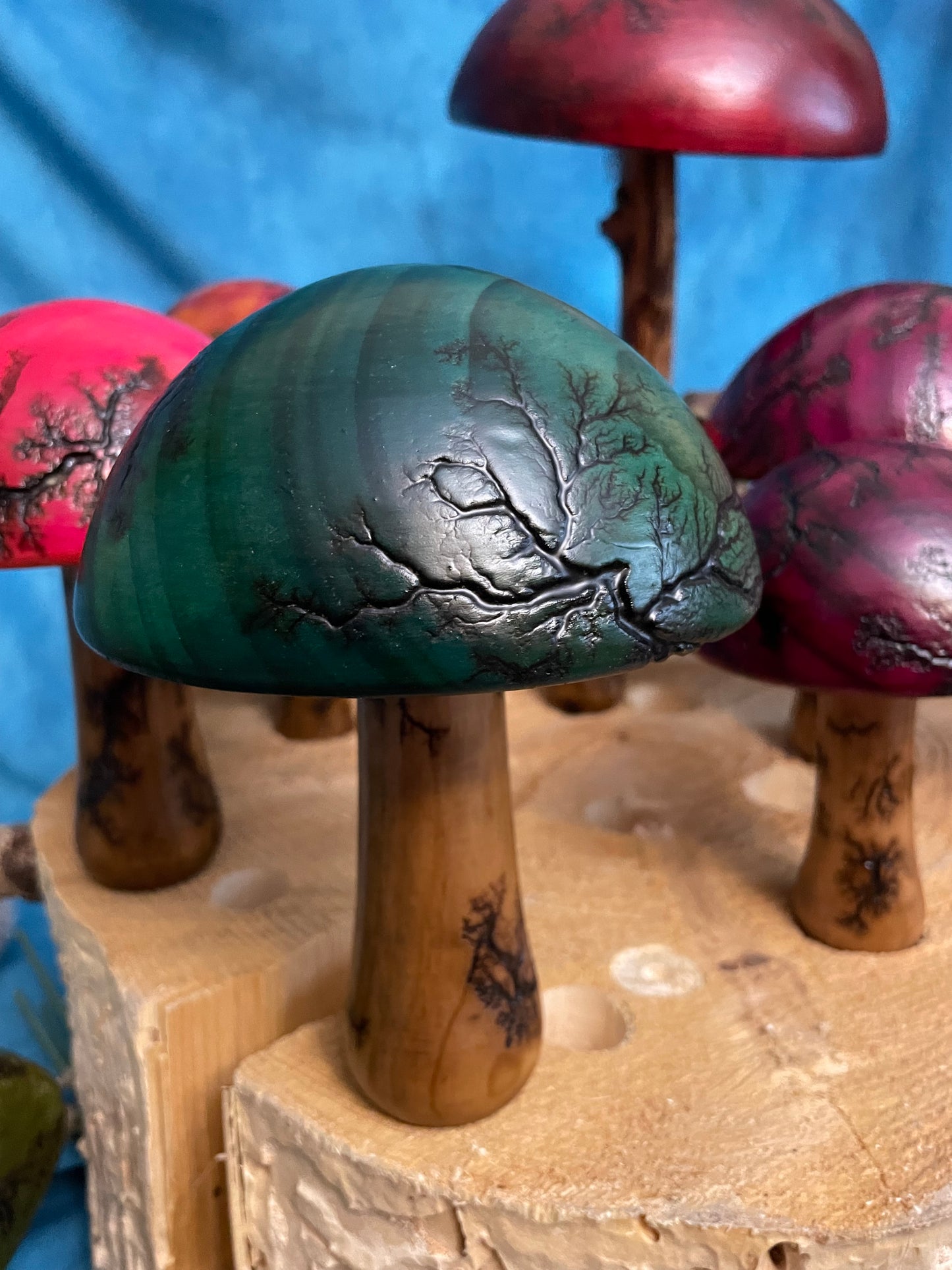 Teak Mushroom