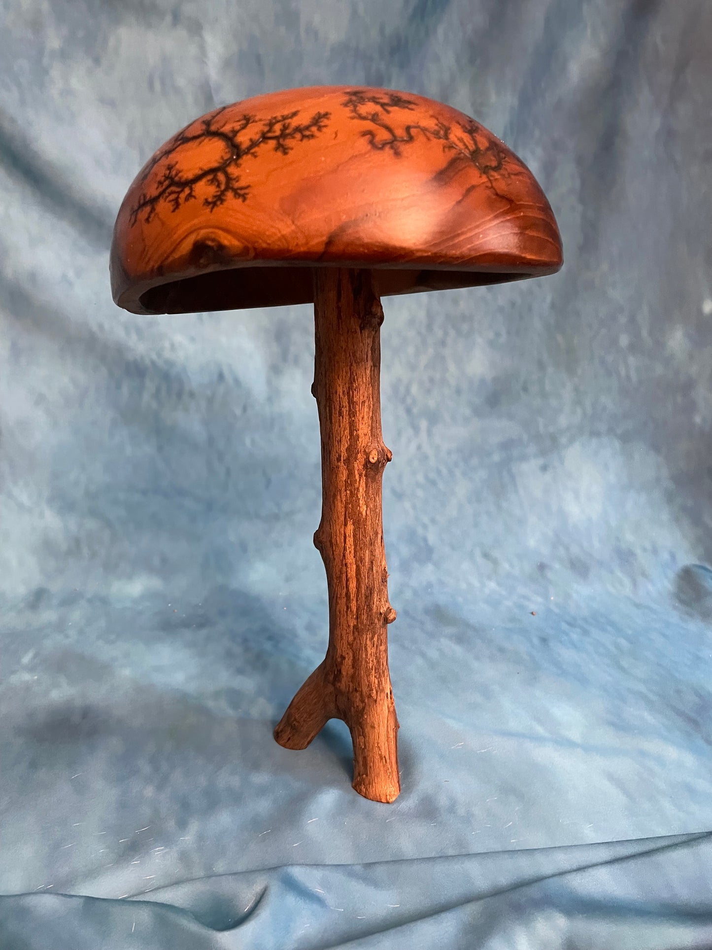 Teak Mushroom