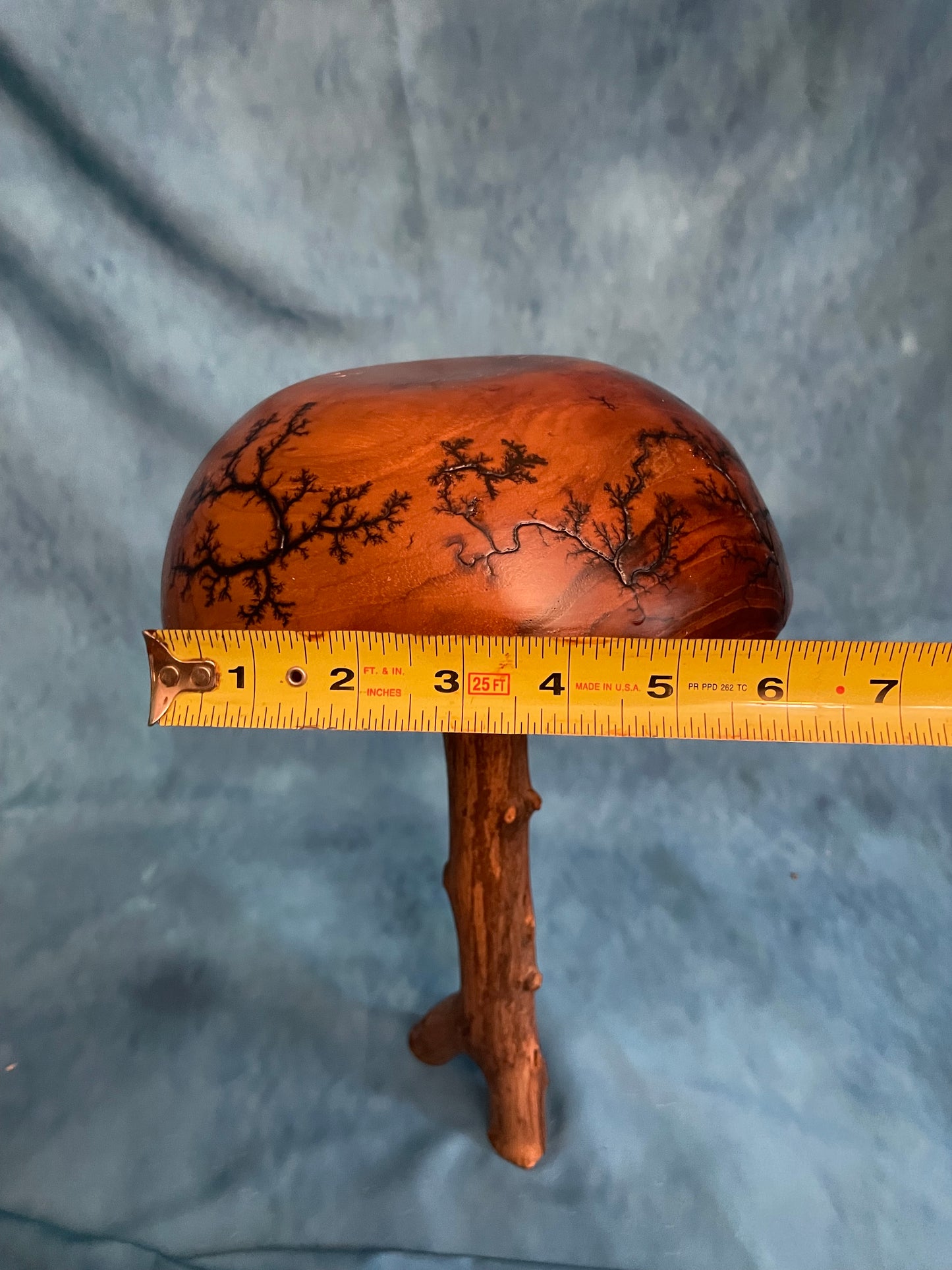 Teak Mushroom