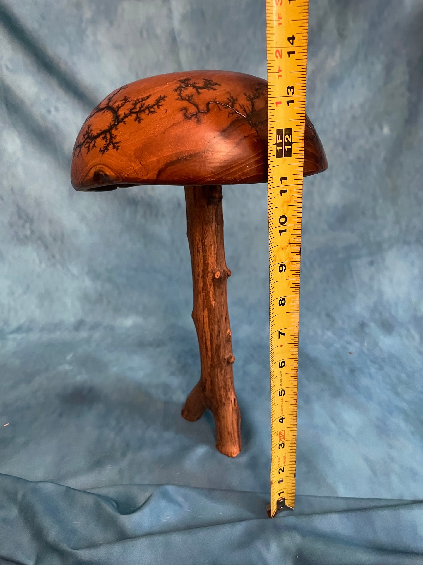 Teak Mushroom