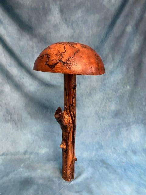 Teak Mushroom