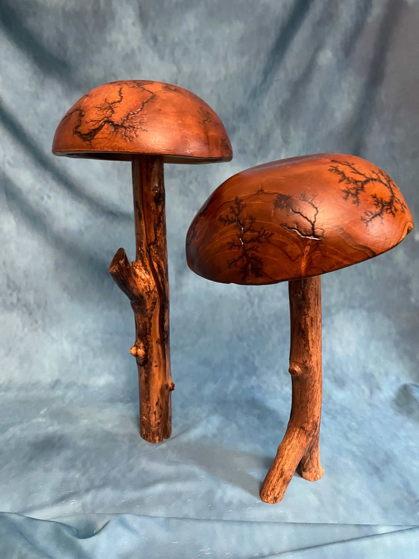 Teak Mushroom
