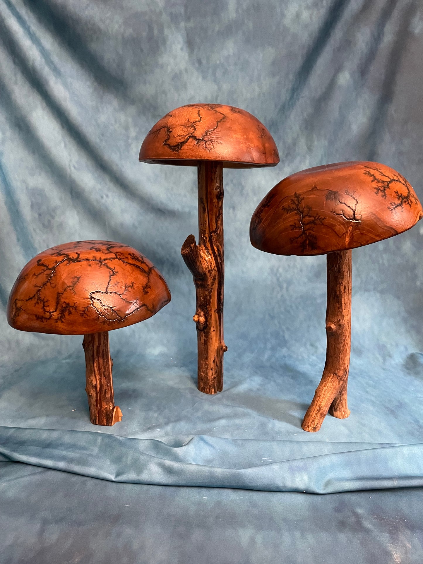 Teak Mushroom